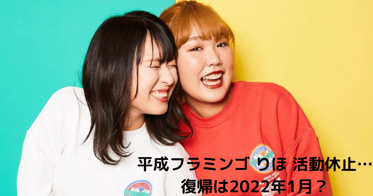 平成フラミンゴりほの活動休止理由である誹謗中傷がキモすぎる 活動再開のきっかけはコムドット あぽろさんの仕事部屋
